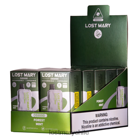 perdió el brillo de mary os5000 menta del bosque - LOST MARY sale 4RXB0R29